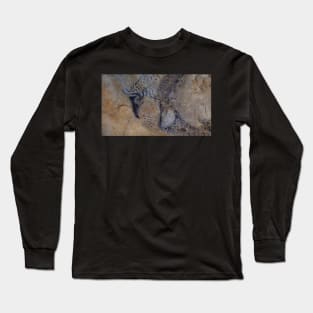 French Pyrenees Cave Paintings Long Sleeve T-Shirt